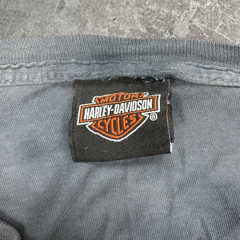 Sick 2009 Harley Davidson Sturgis Y2K tie dye style tee, fits XL/XXL mens best
